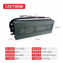 PLB12V100W